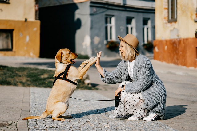 petfoodbites.com