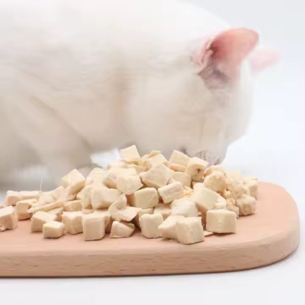 petfoodbites.com